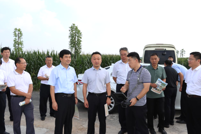丁林桥到商河调研工作