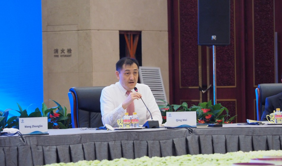 咨委会成员建言献策